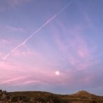 WhatsApp Image 2024-05-03 at 13.37.50_8128a5fa